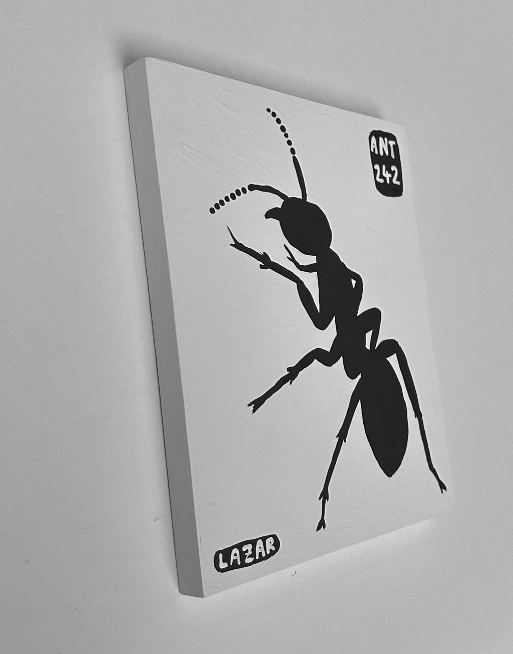 Ant #242