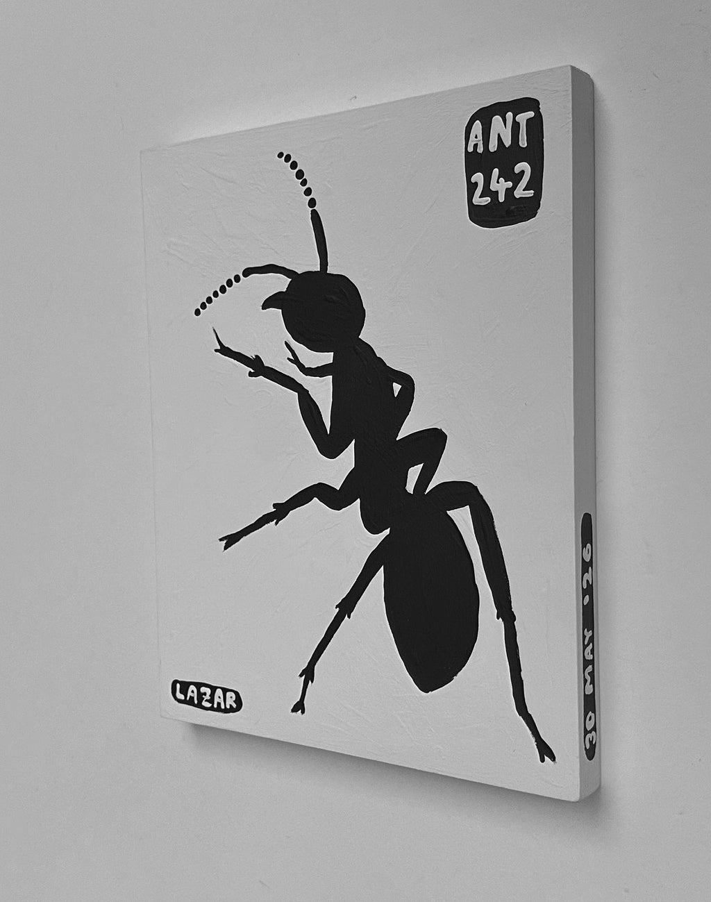 Ant #242