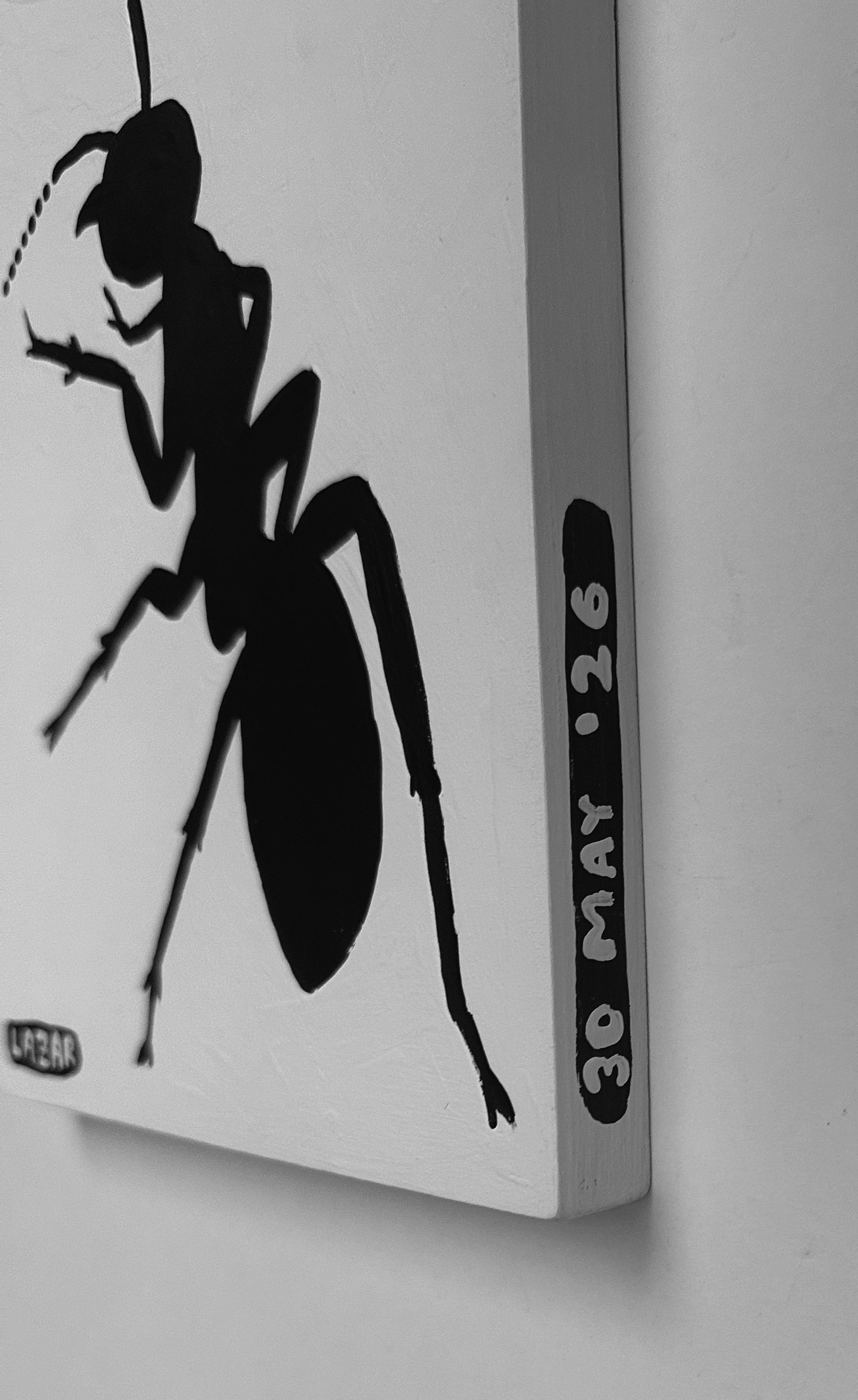 Ant #242