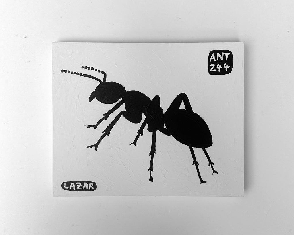 Ant #244