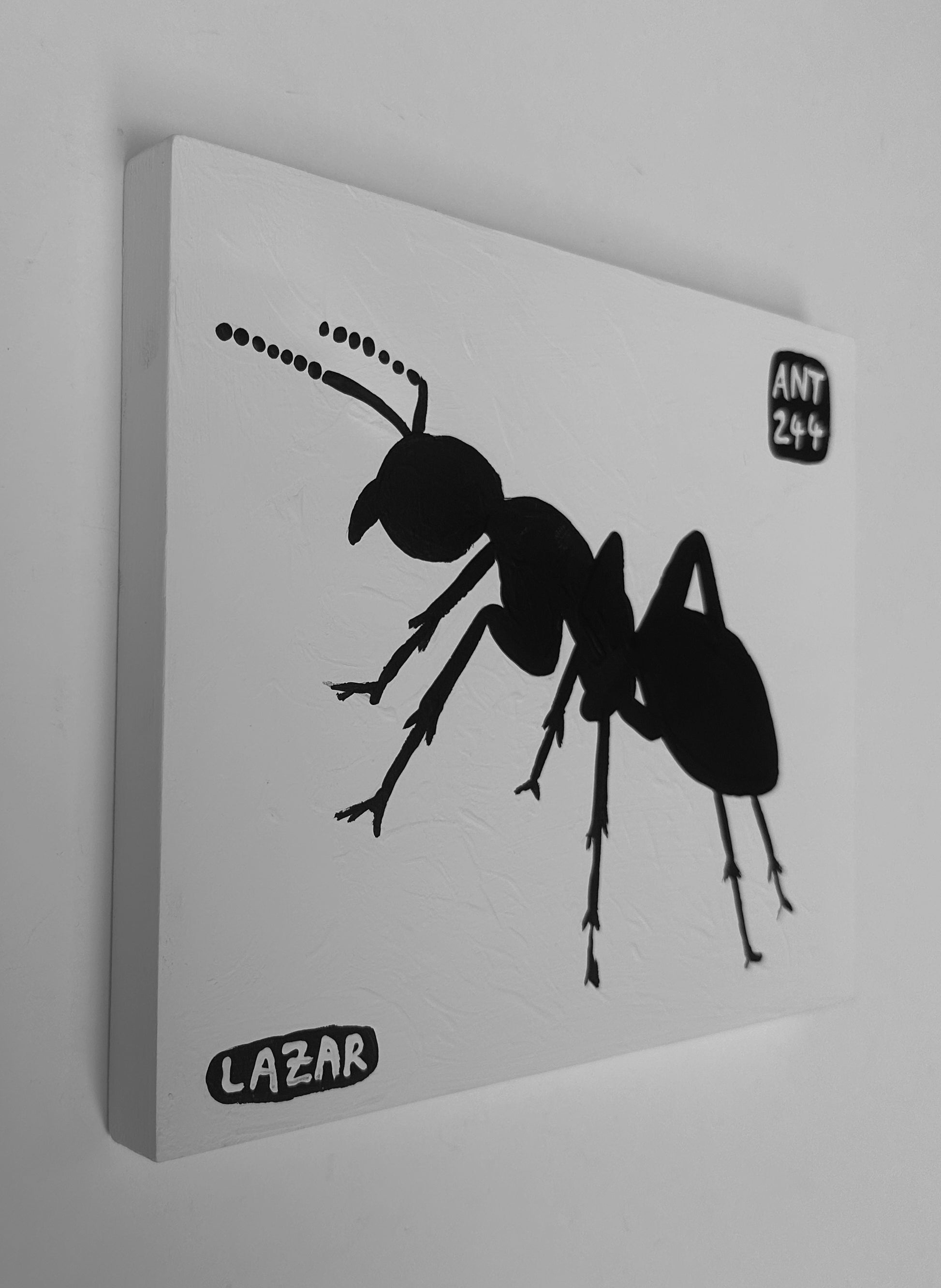 Ant #244