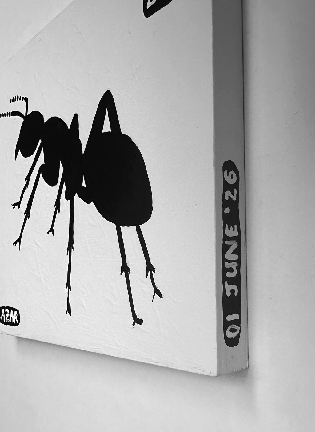 Ant #244