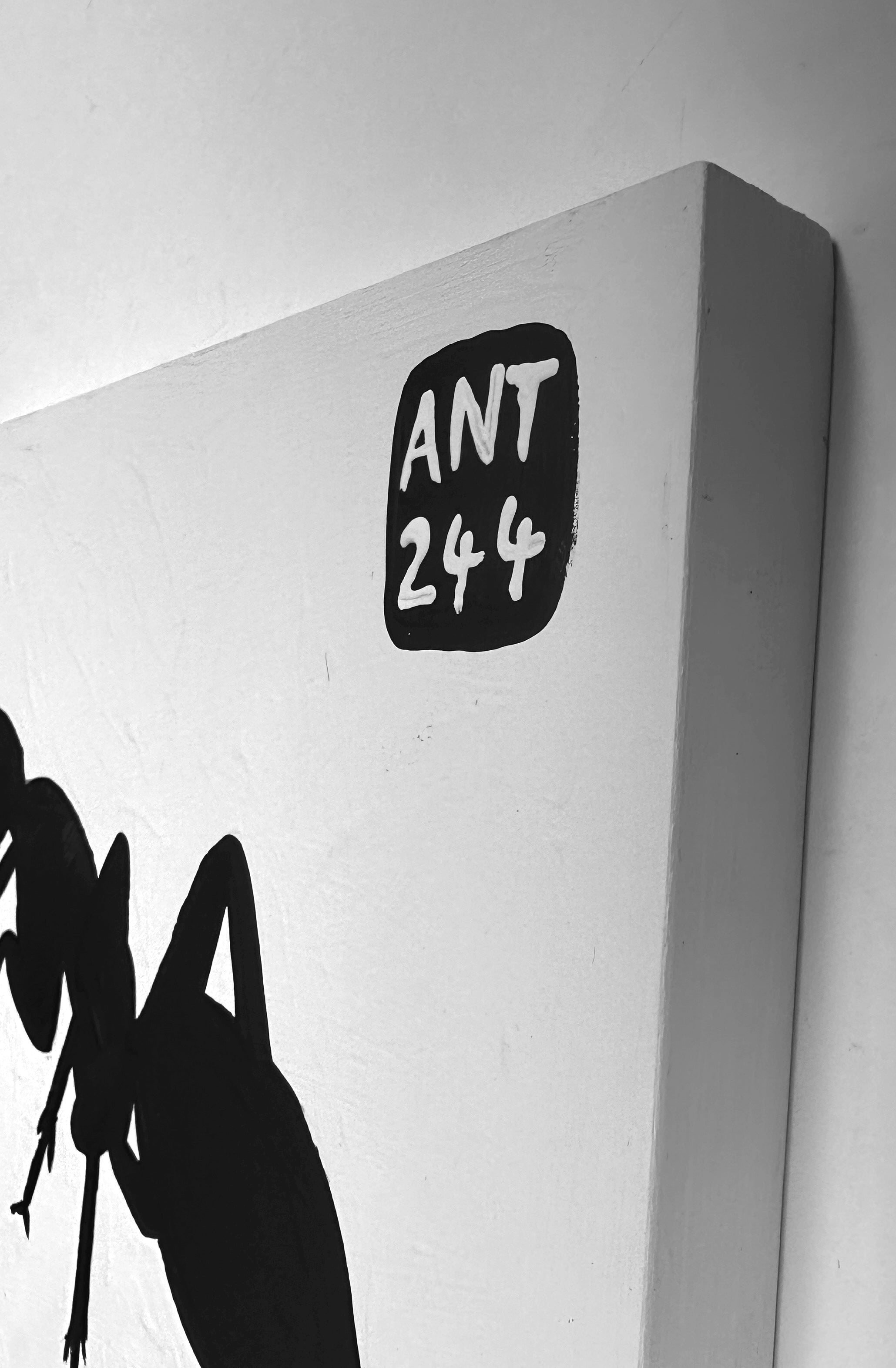 Ant #244