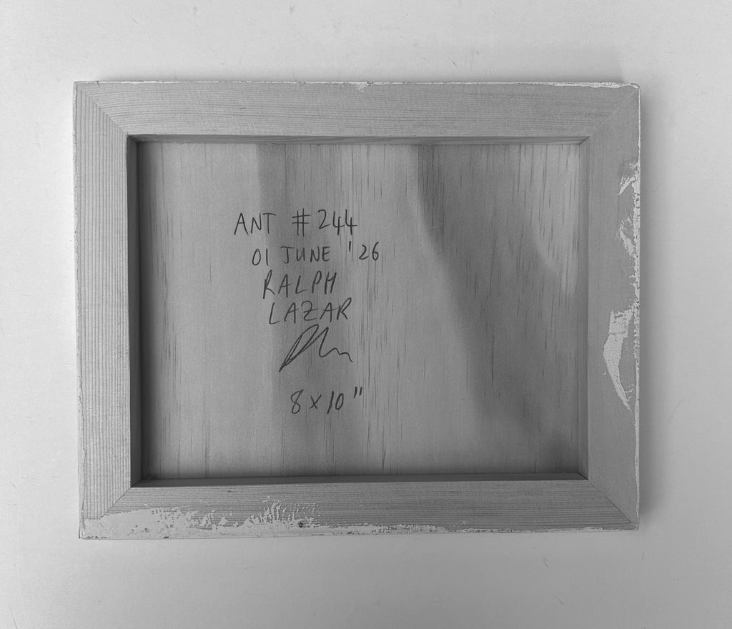 Ant #244