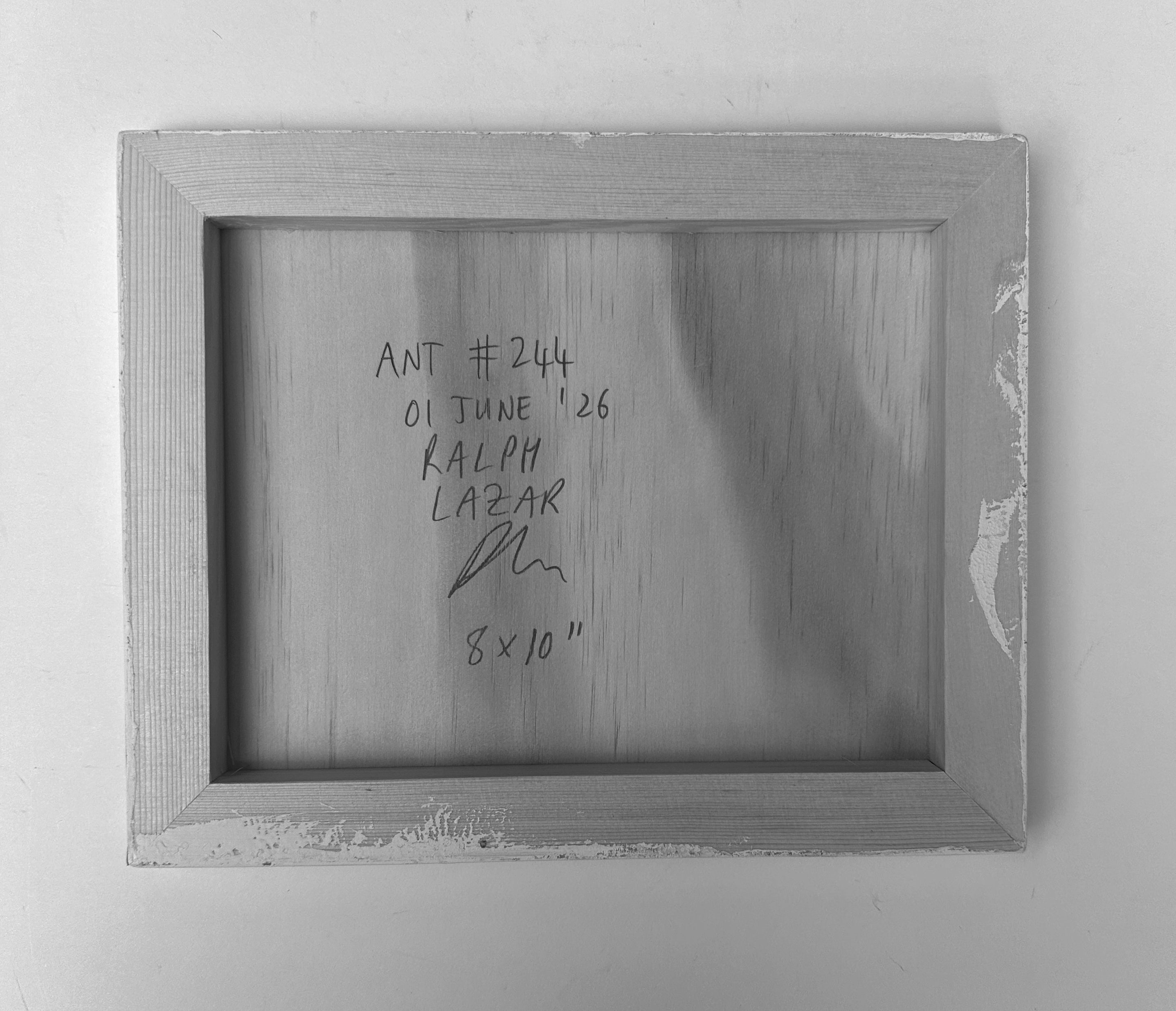 Ant #244