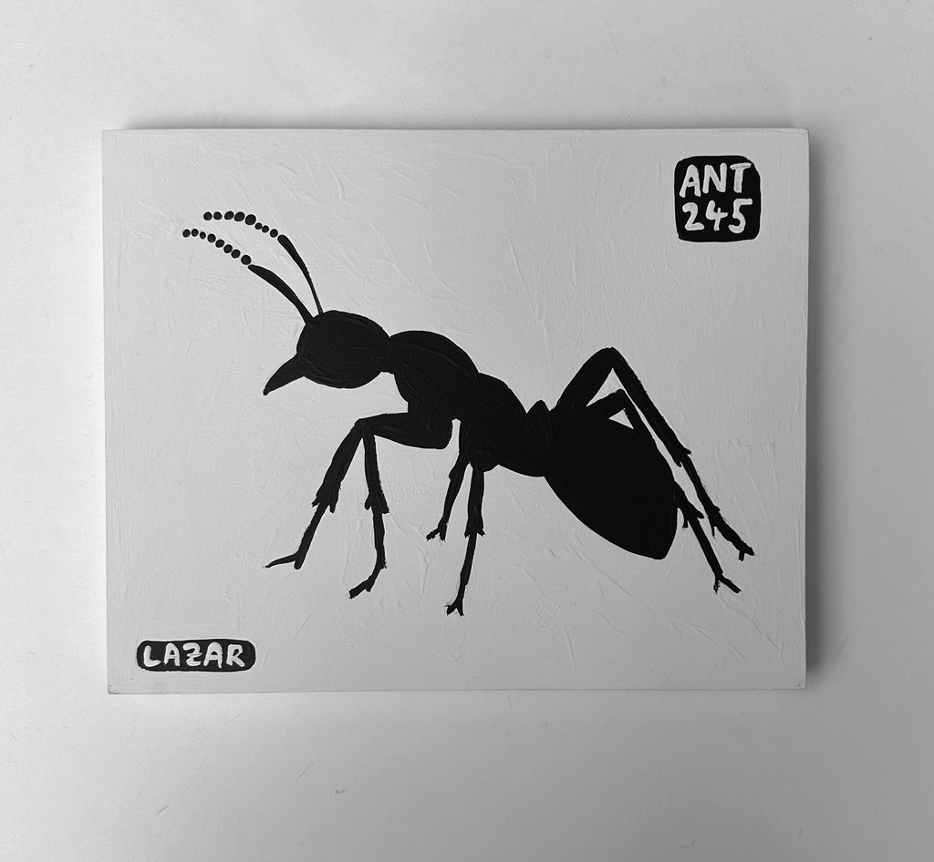Ant #245