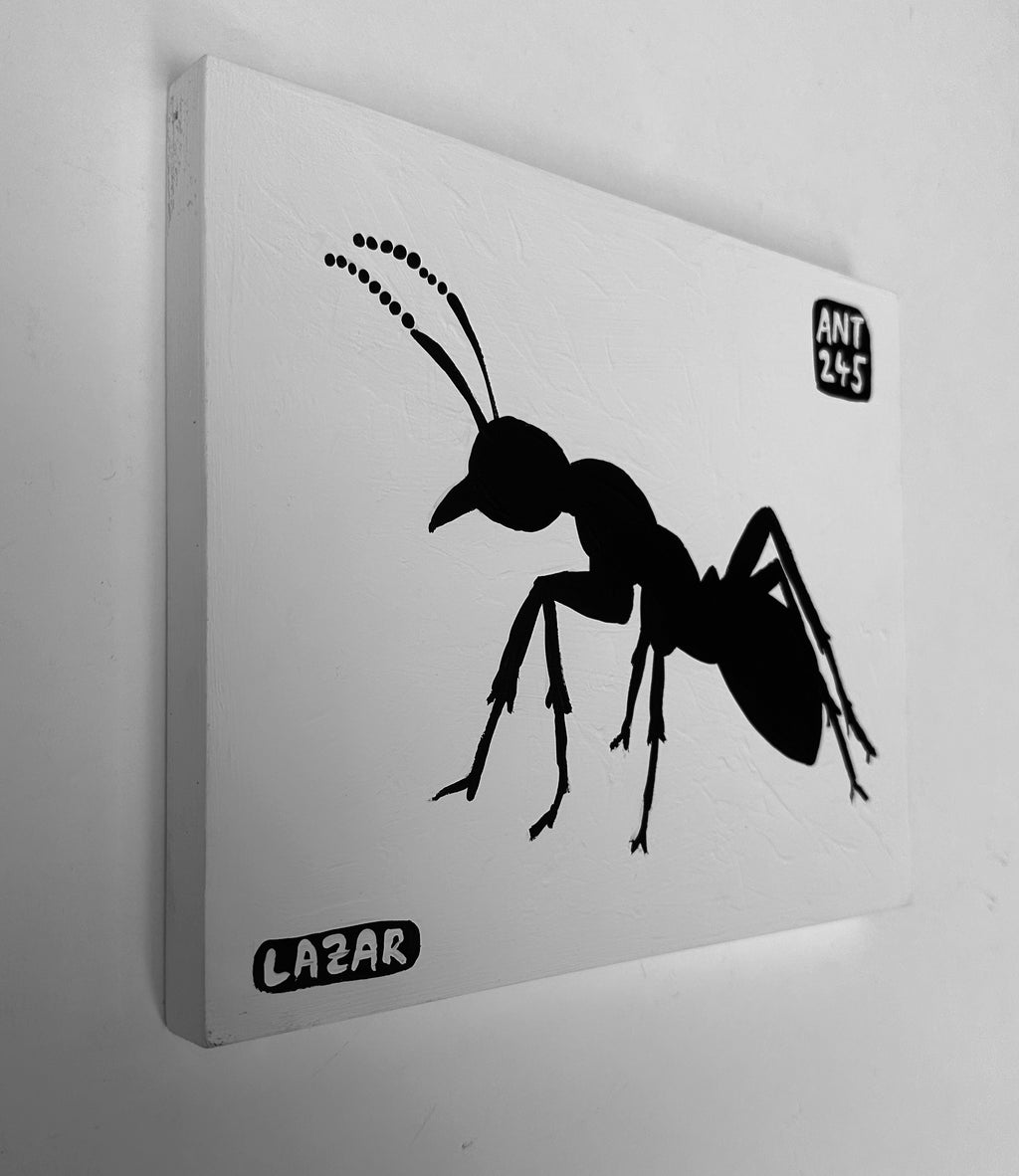 Ant #245