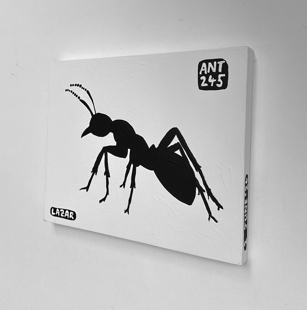 Ant #245
