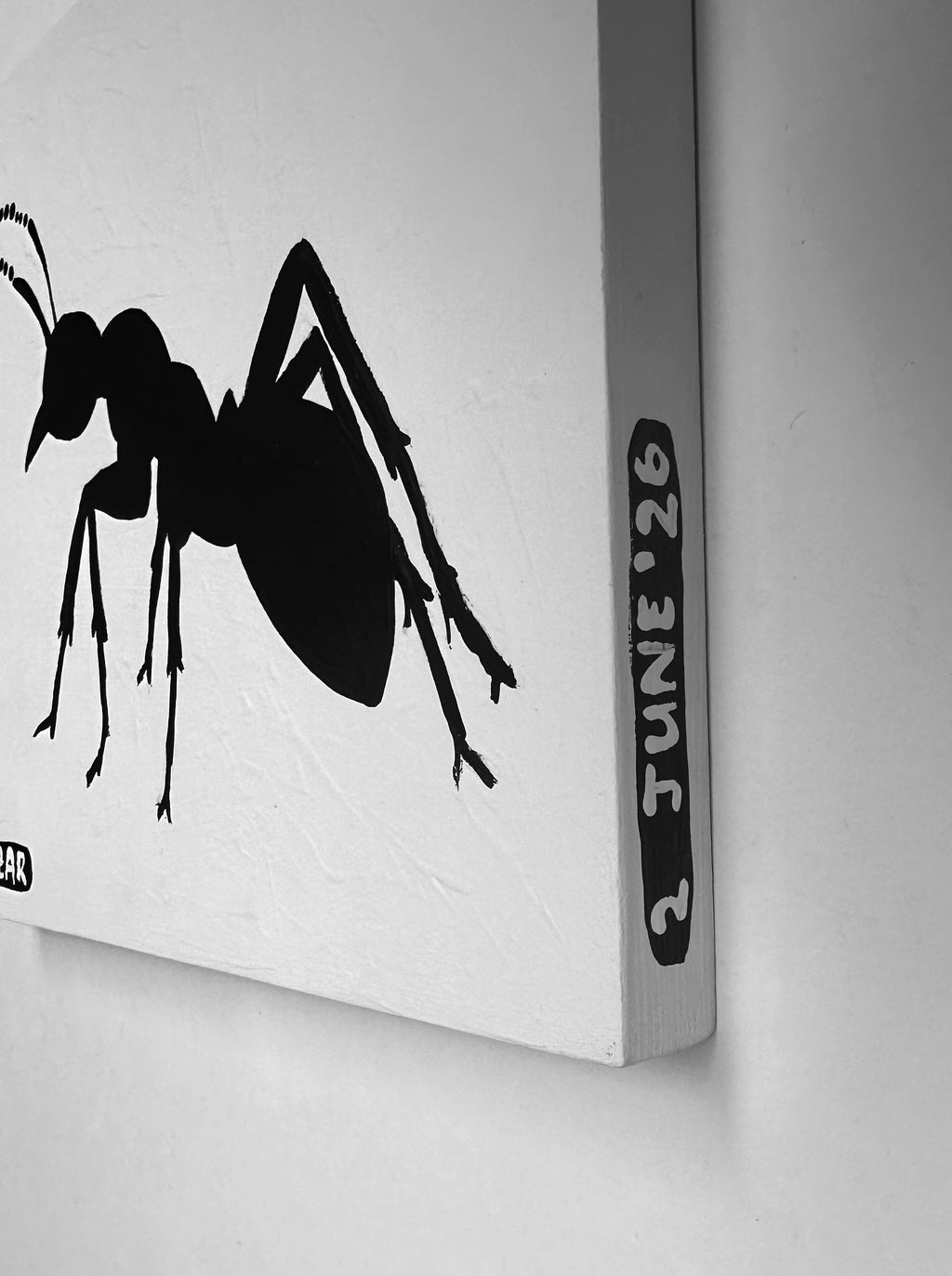 Ant #245