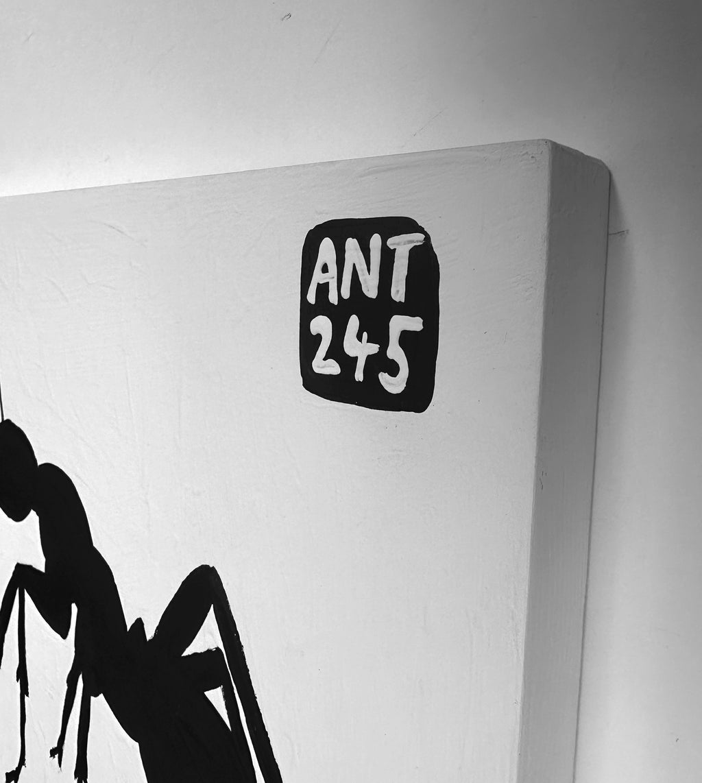 Ant #245