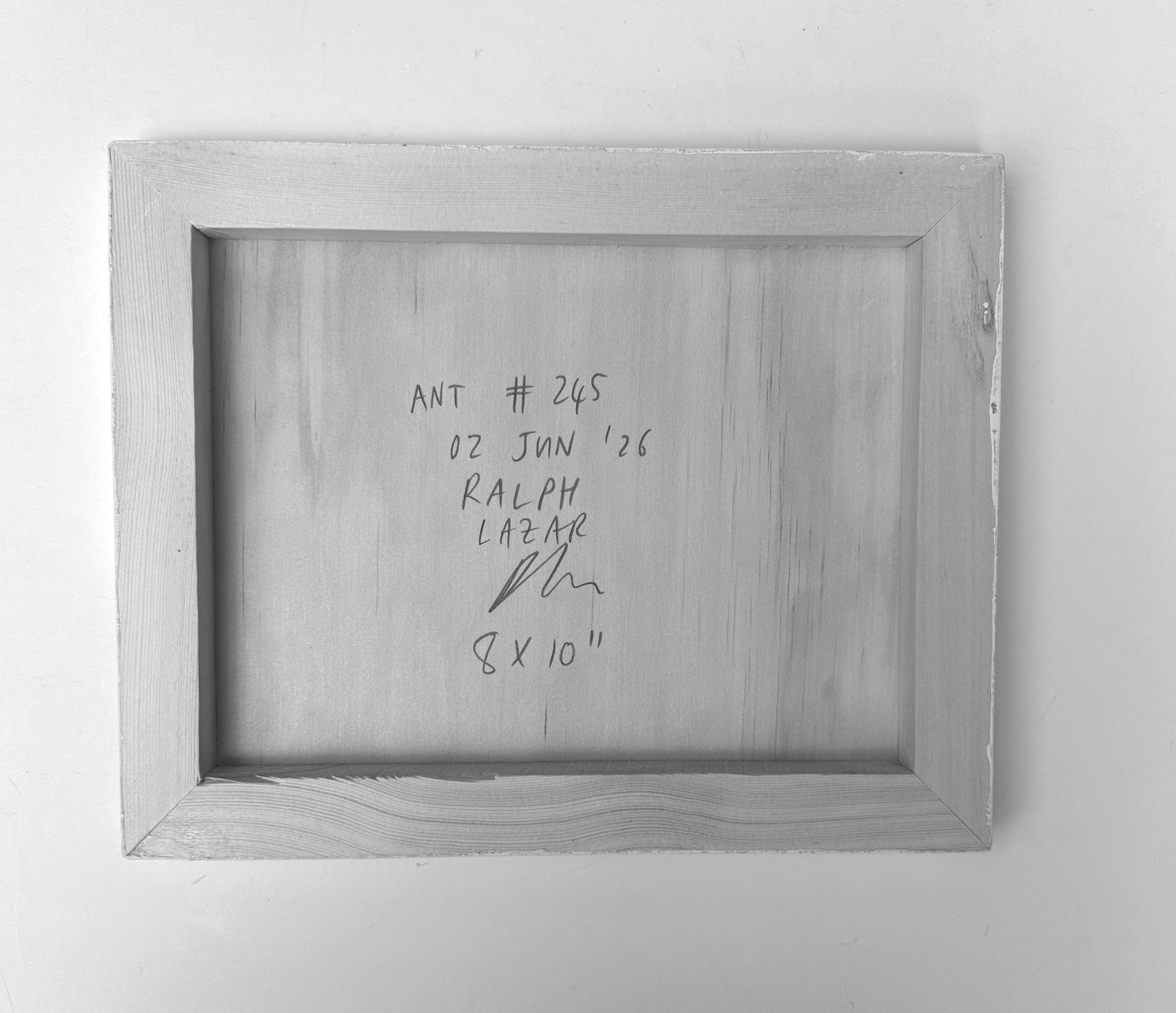 Ant #245