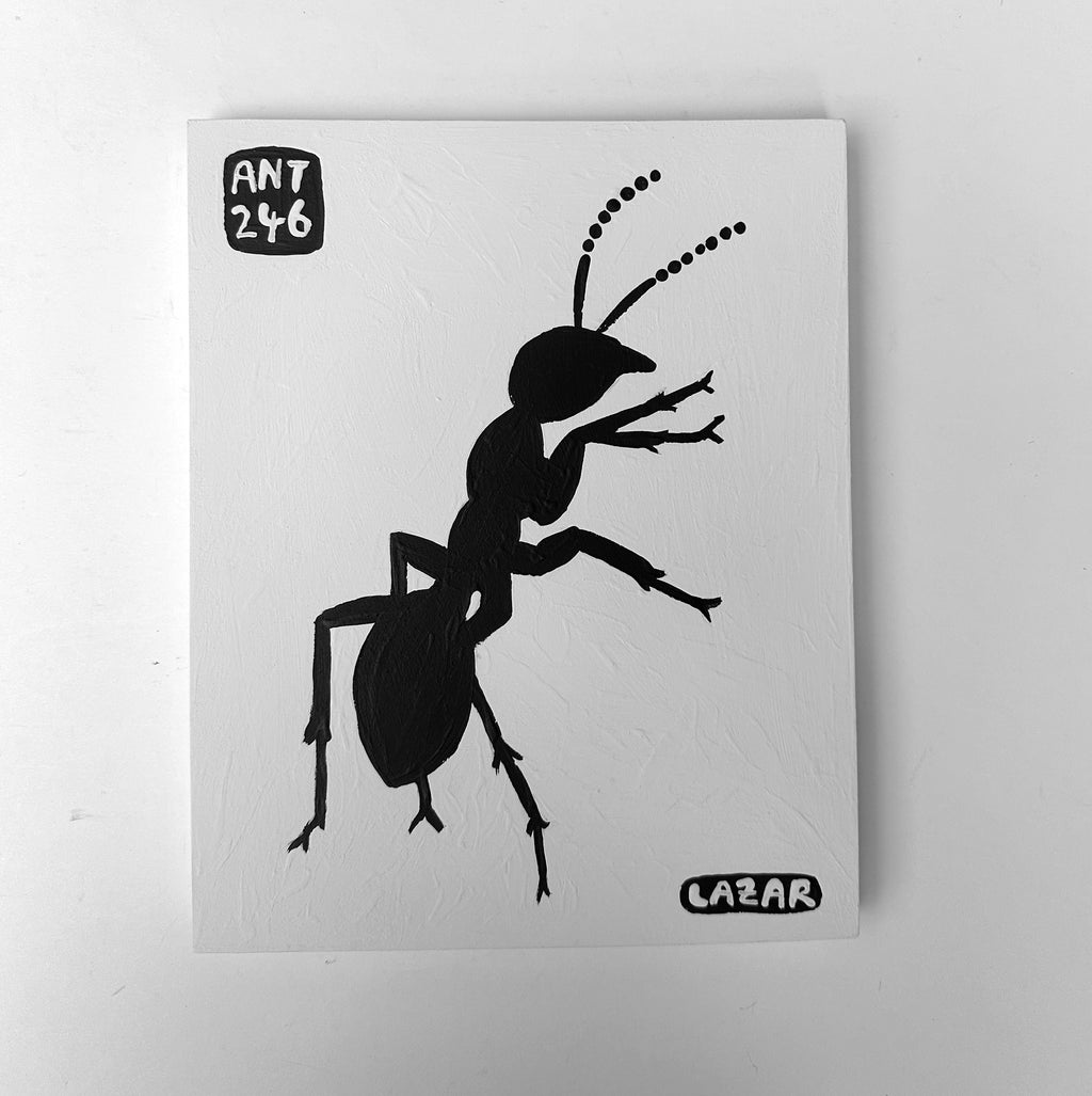 Ant #246