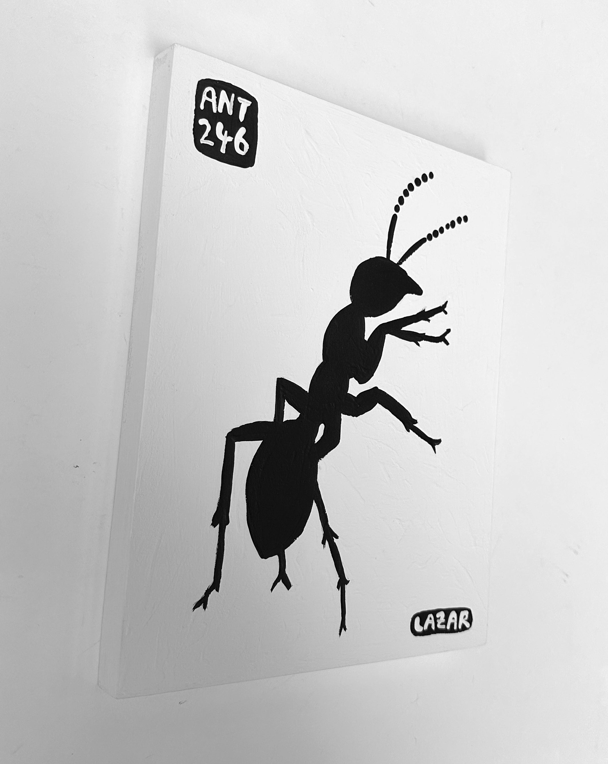 Ant #246
