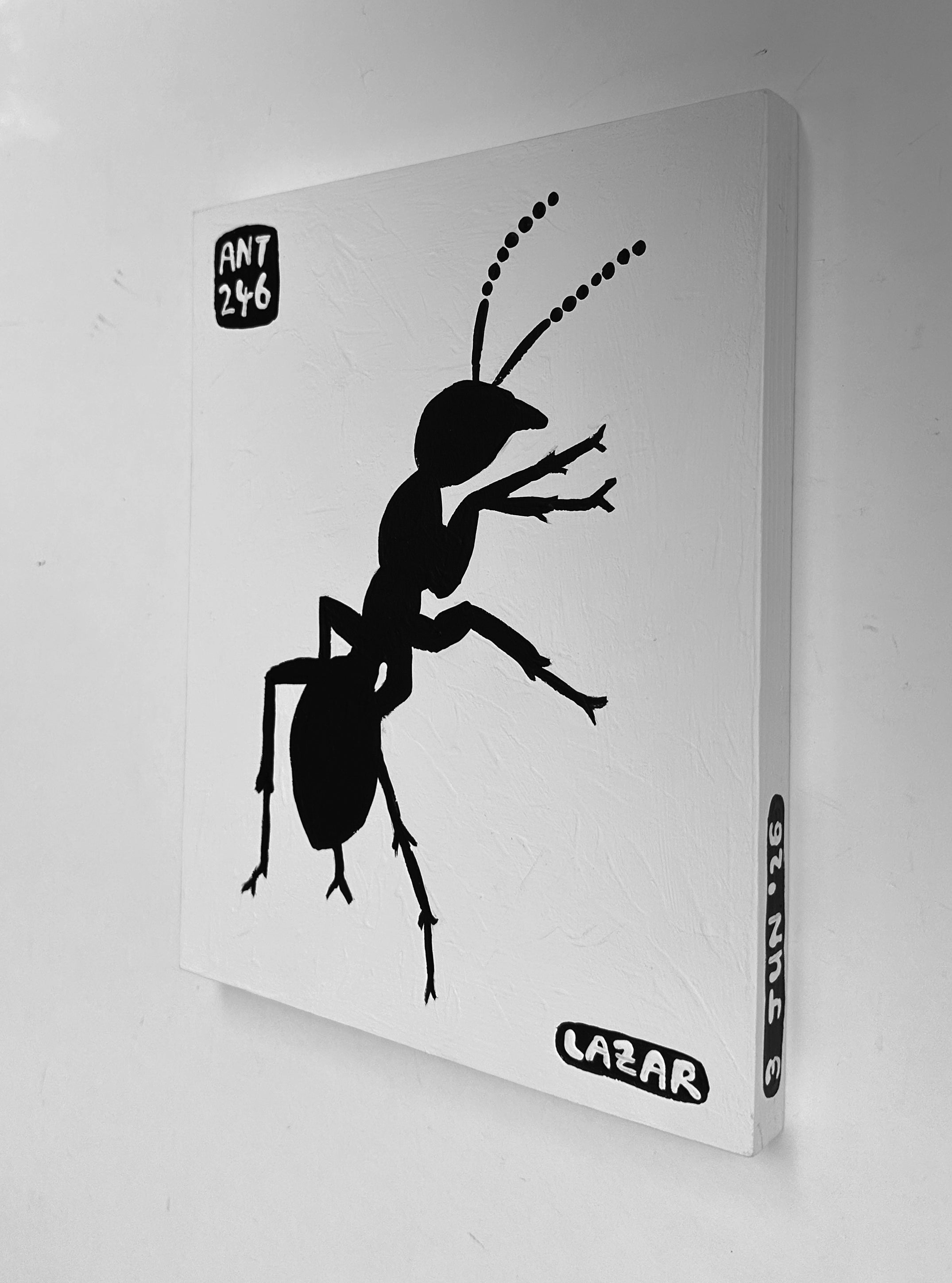 Ant #246