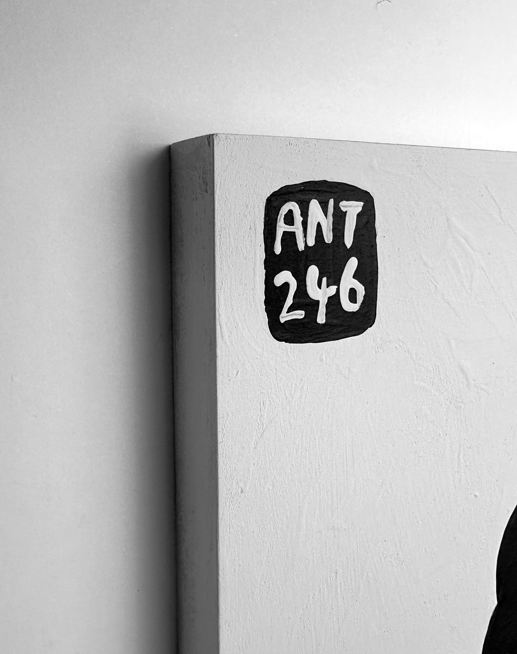 Ant #246