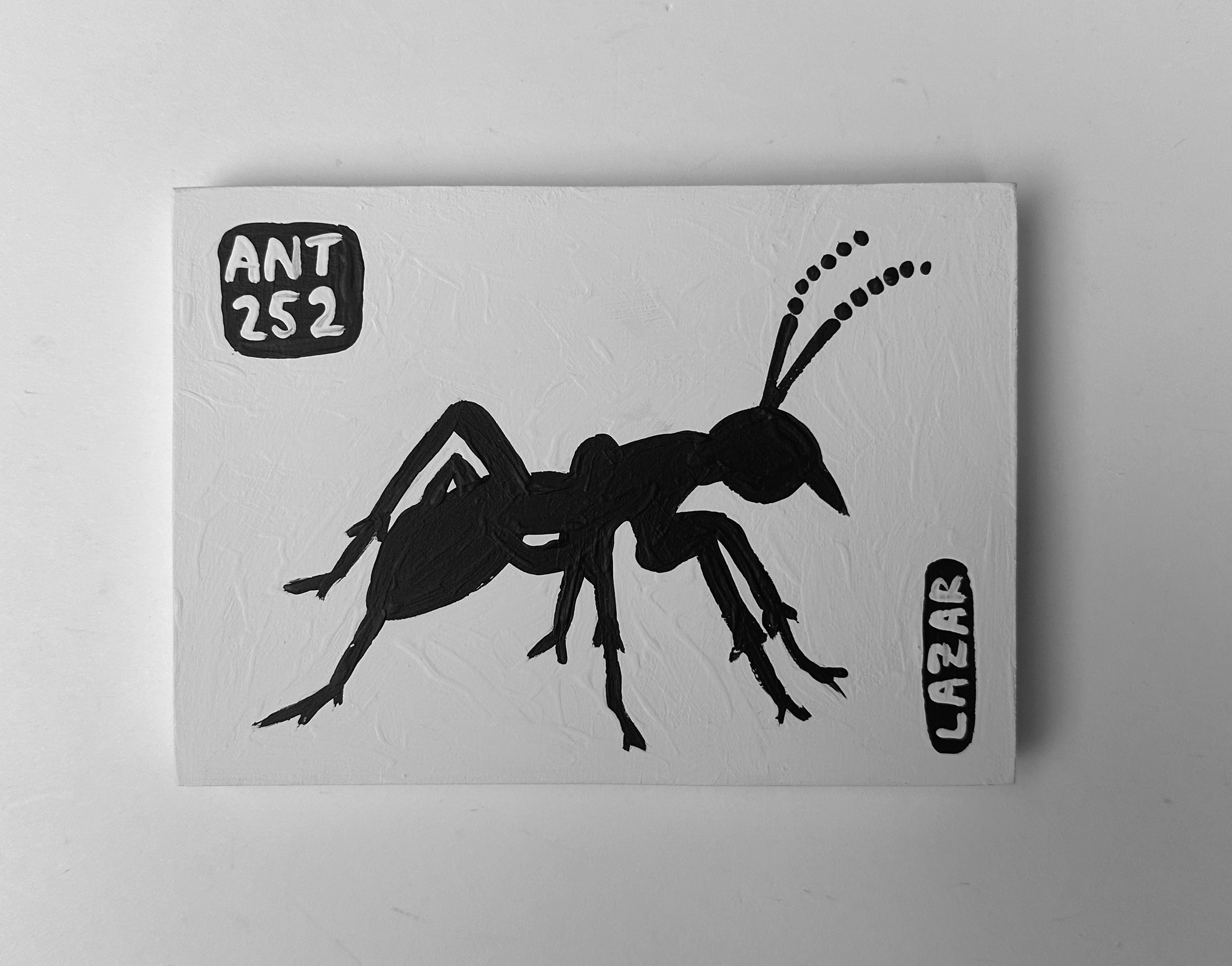 Ant #252