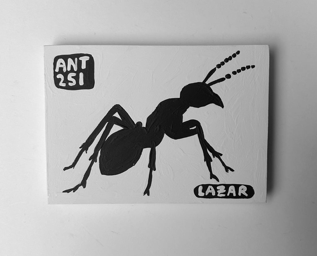 Ant #251