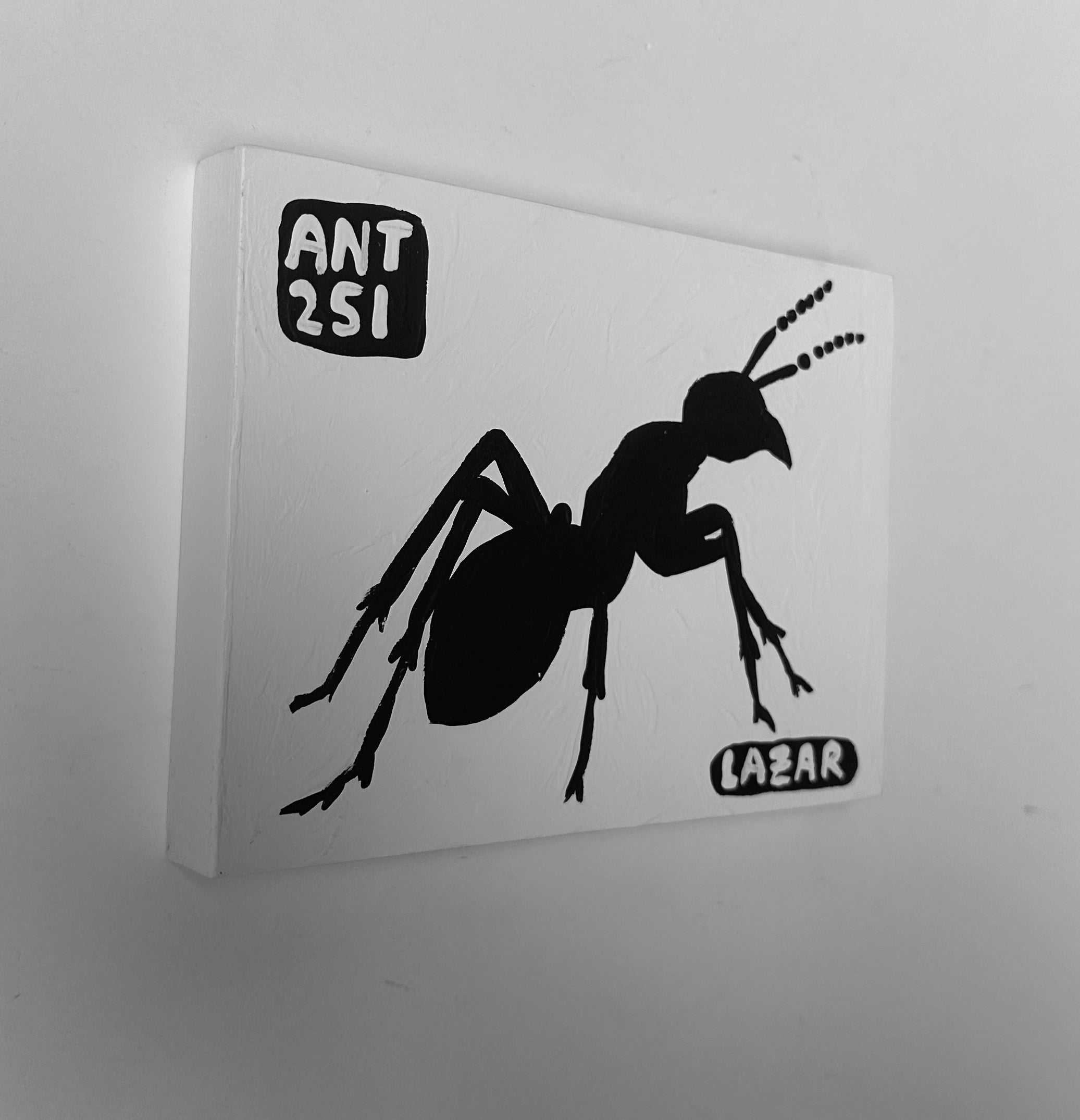 Ant #251