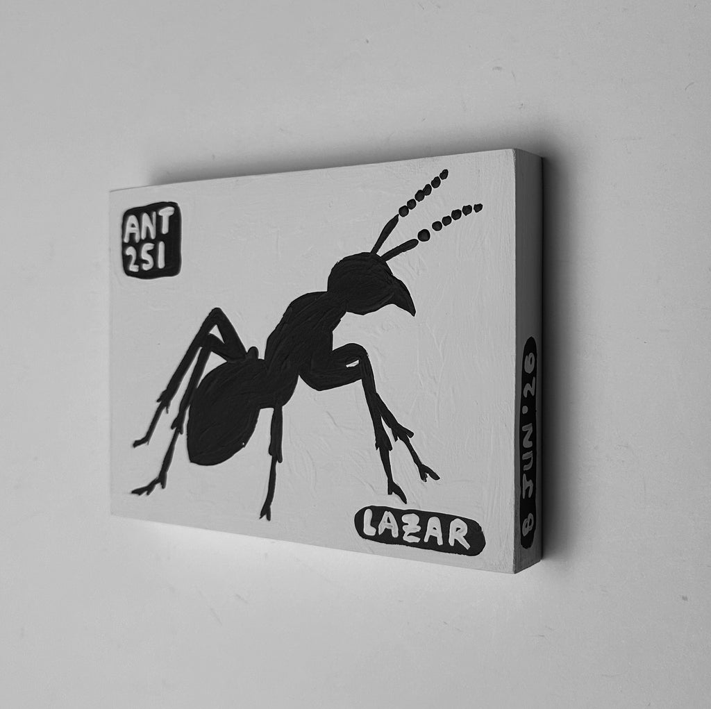 Ant #251