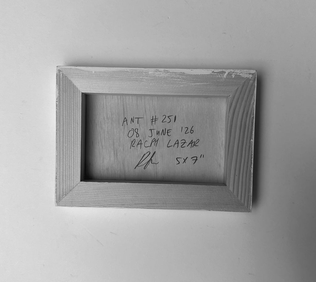 Ant #251