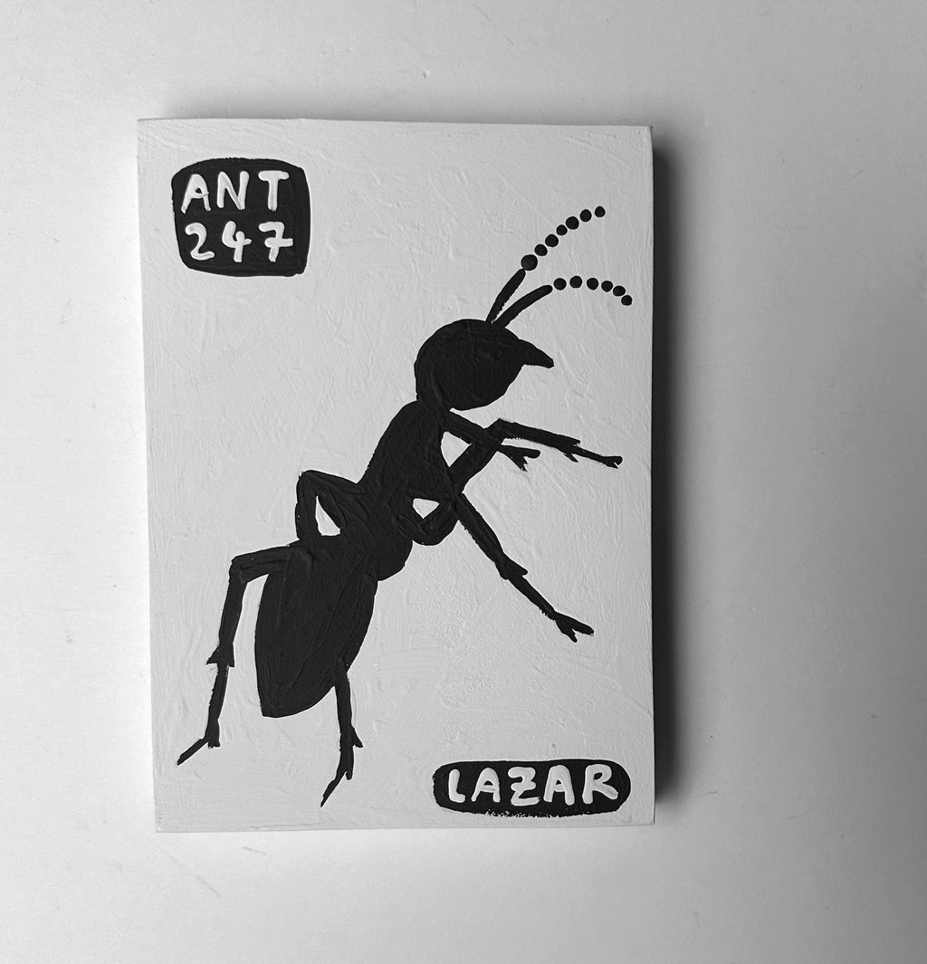 Ant #247