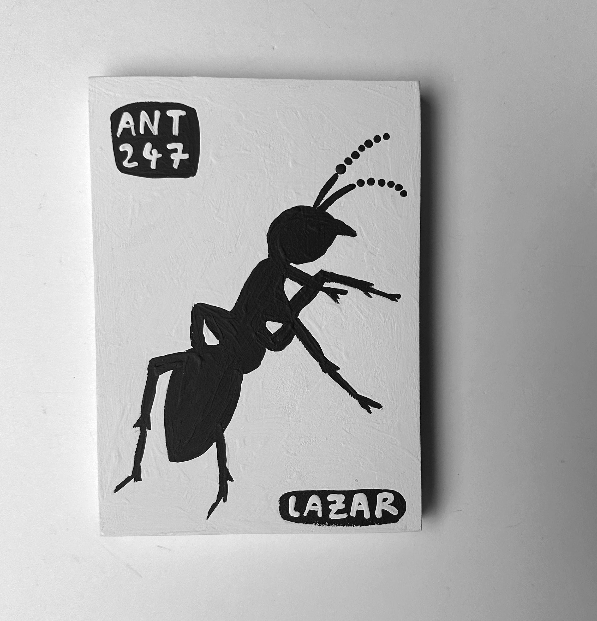 Ant #247