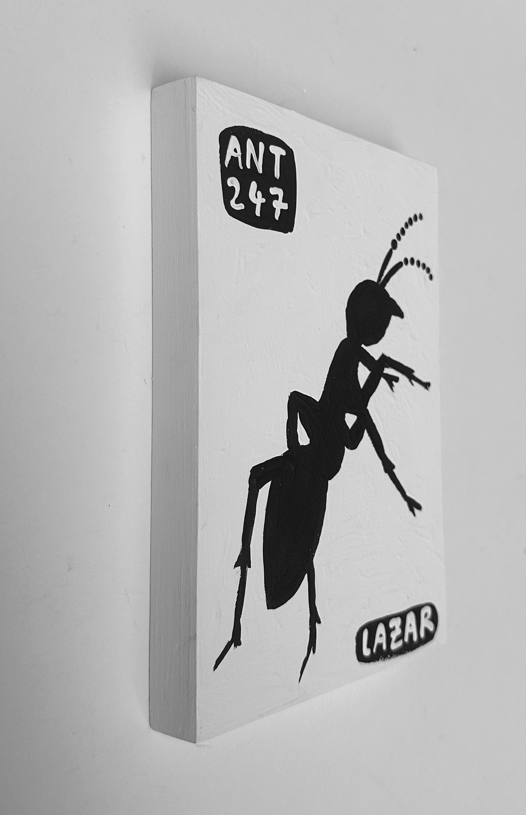 Ant #247