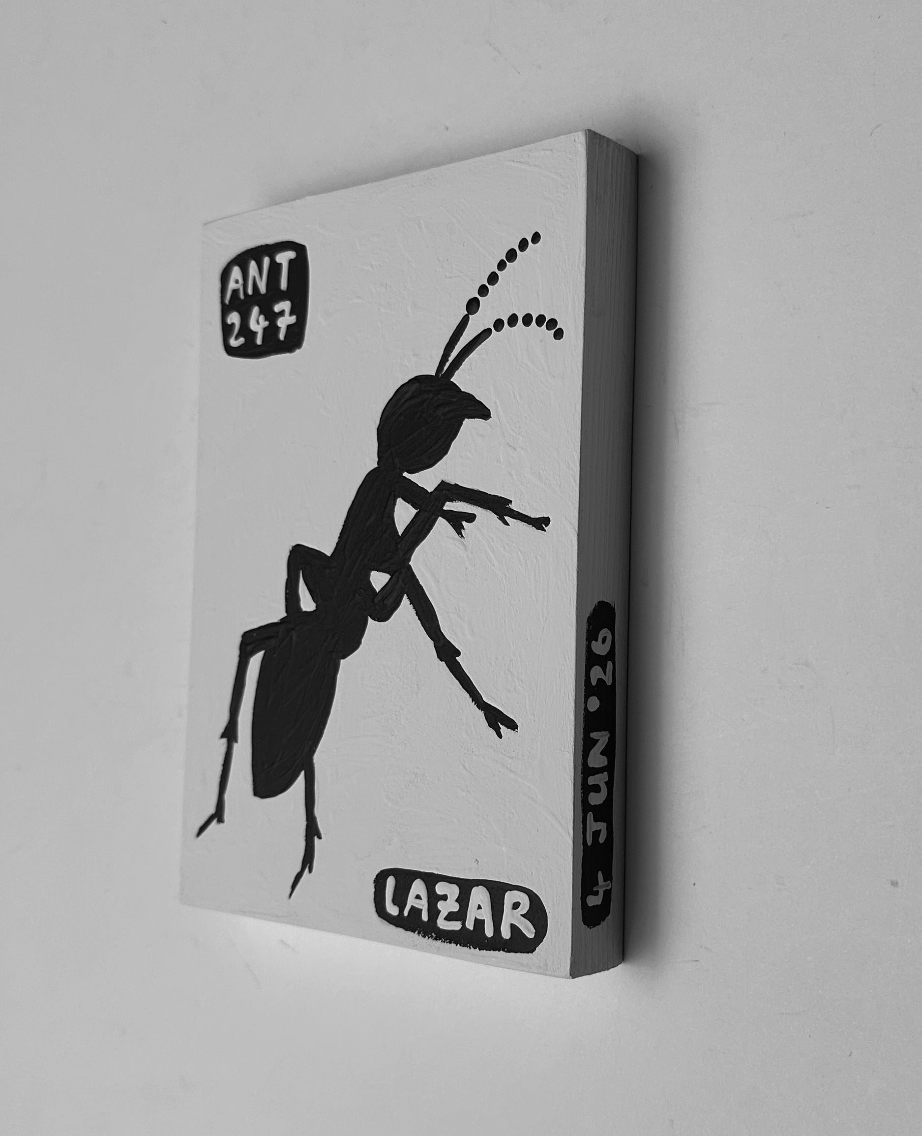 Ant #247