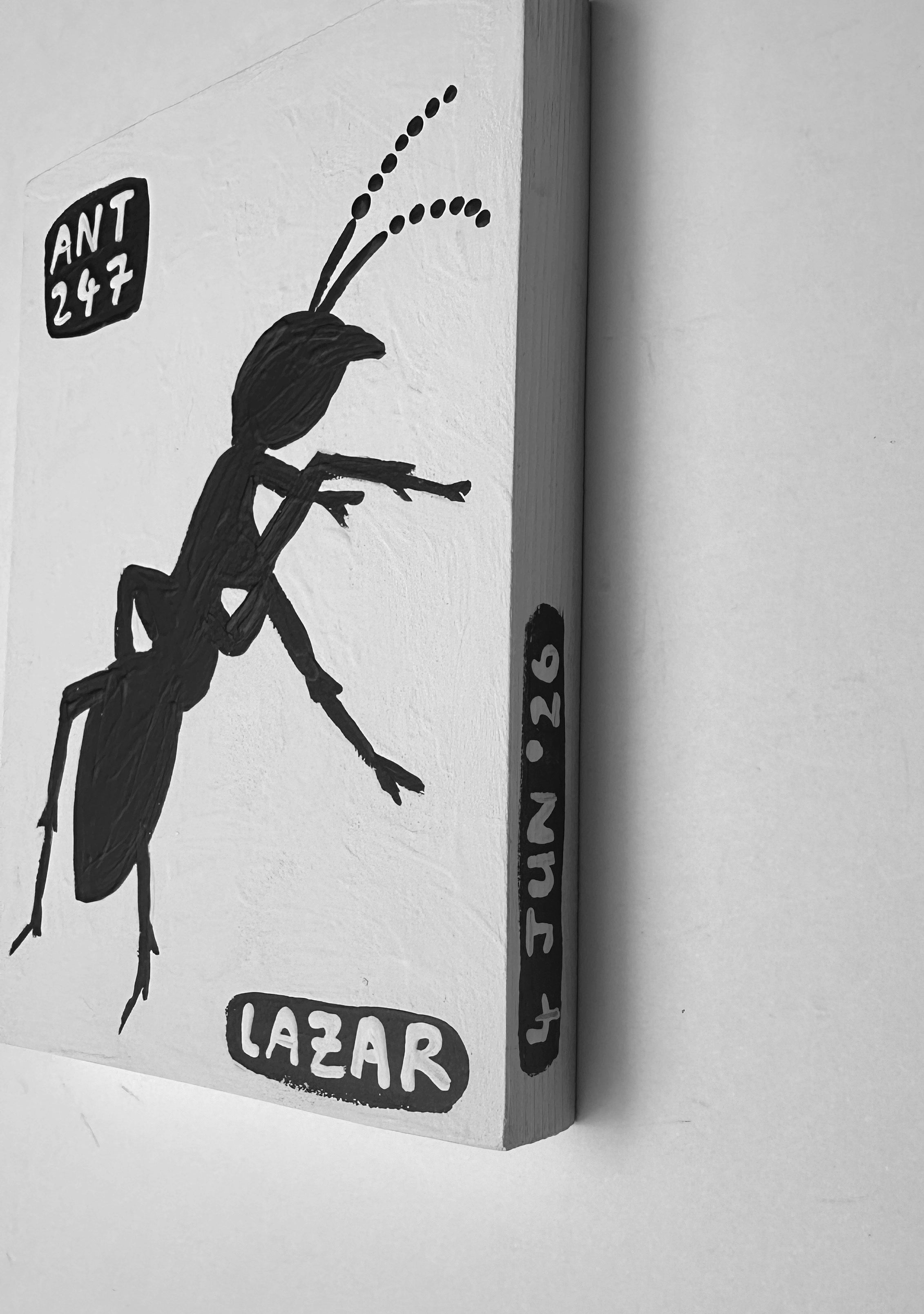 Ant #247