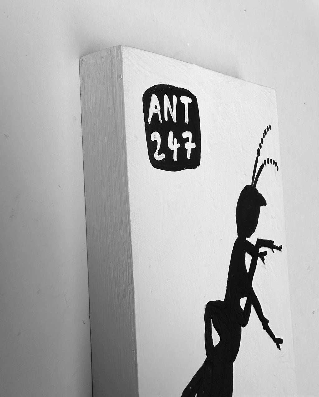 Ant #247