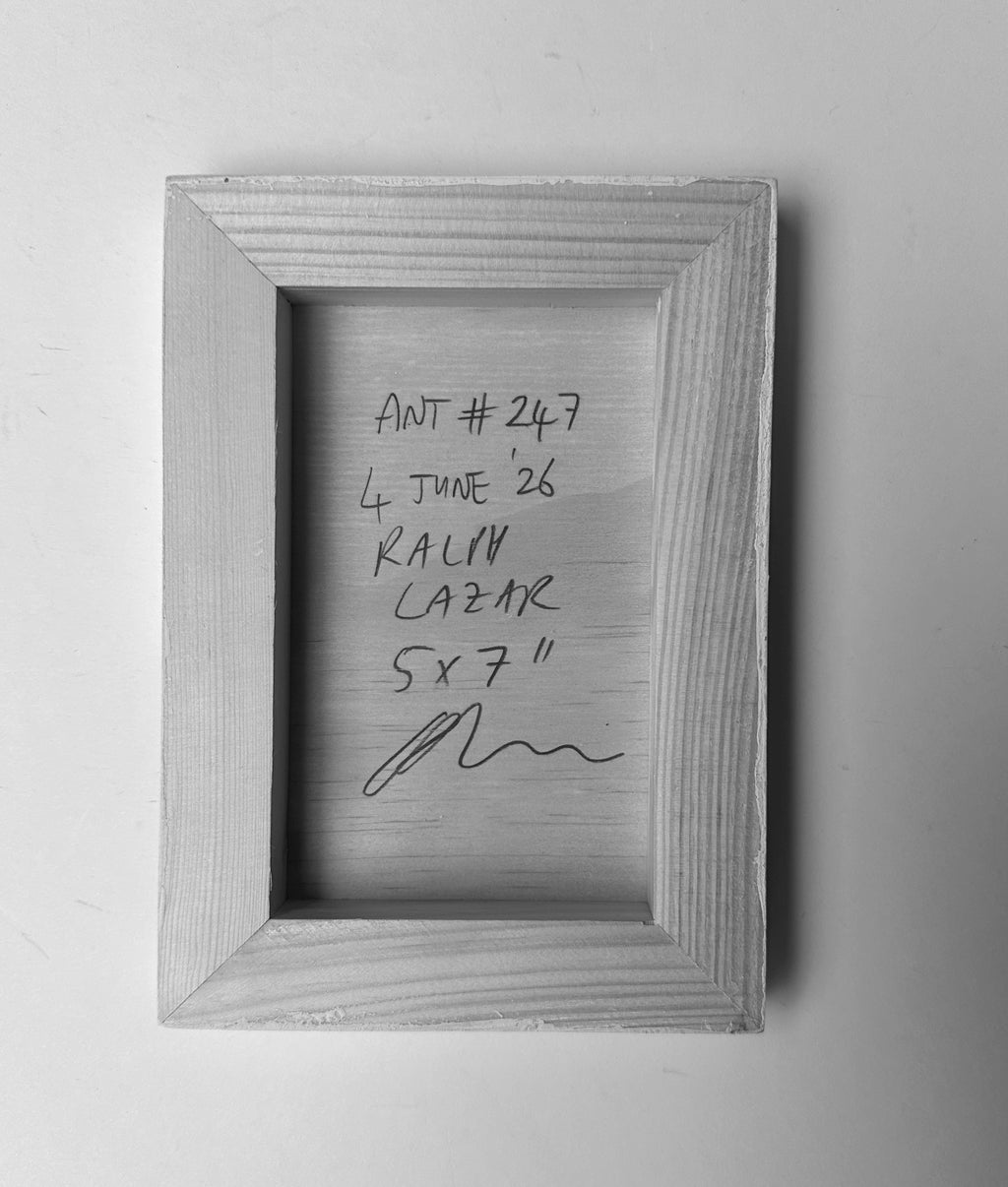 Ant #247