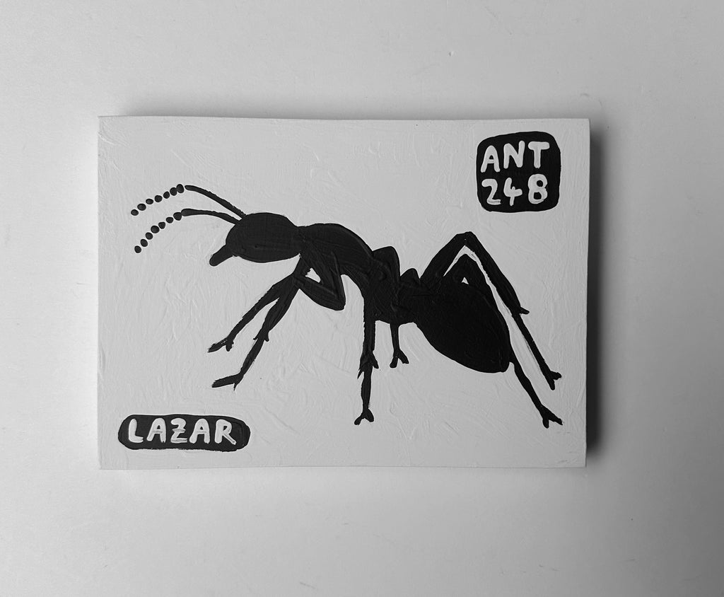 Ant #248