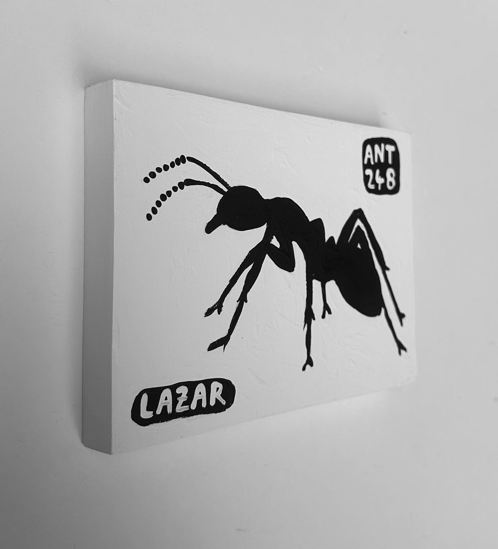 Ant #248