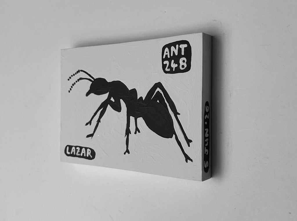 Ant #248