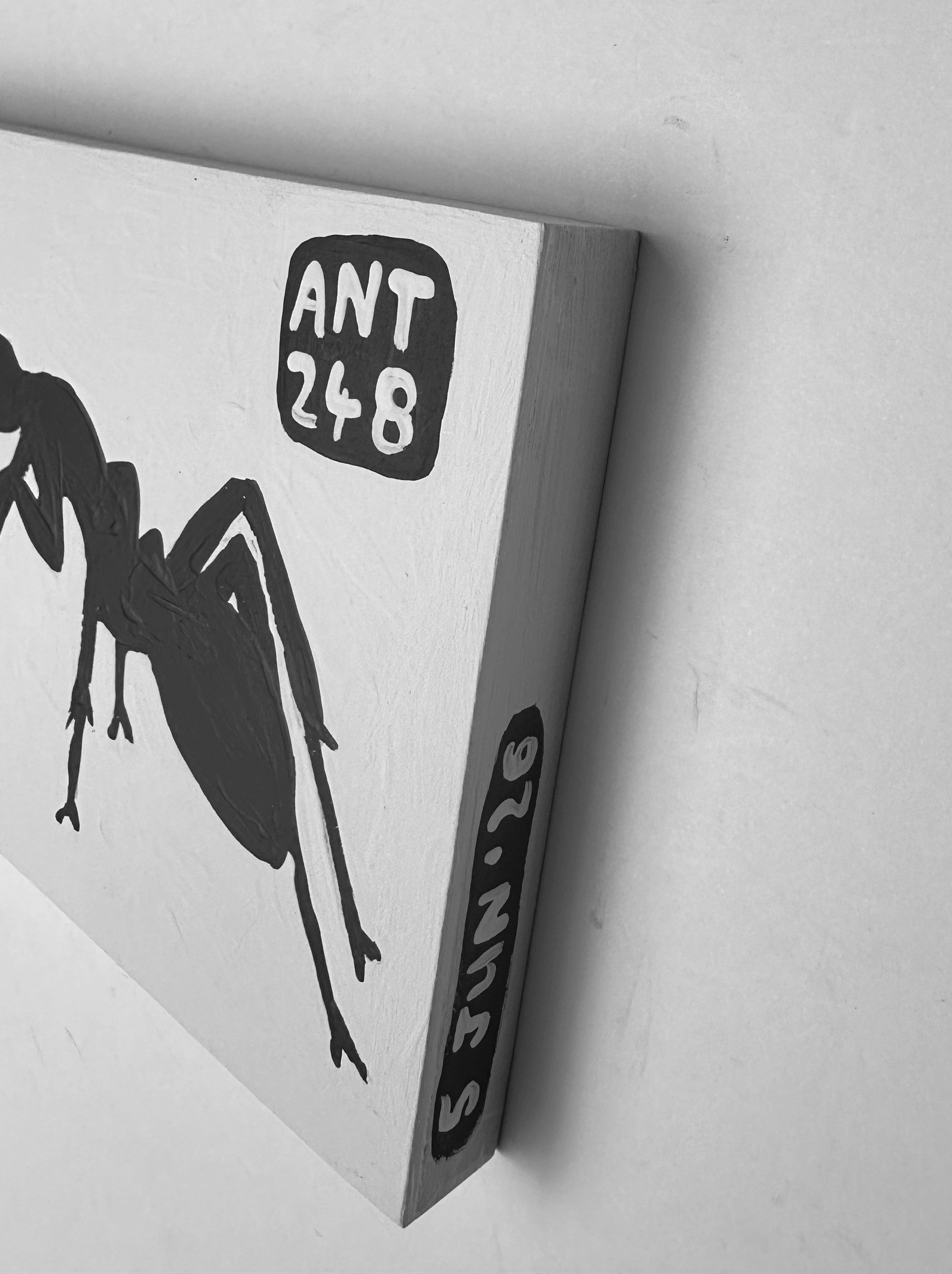 Ant #248