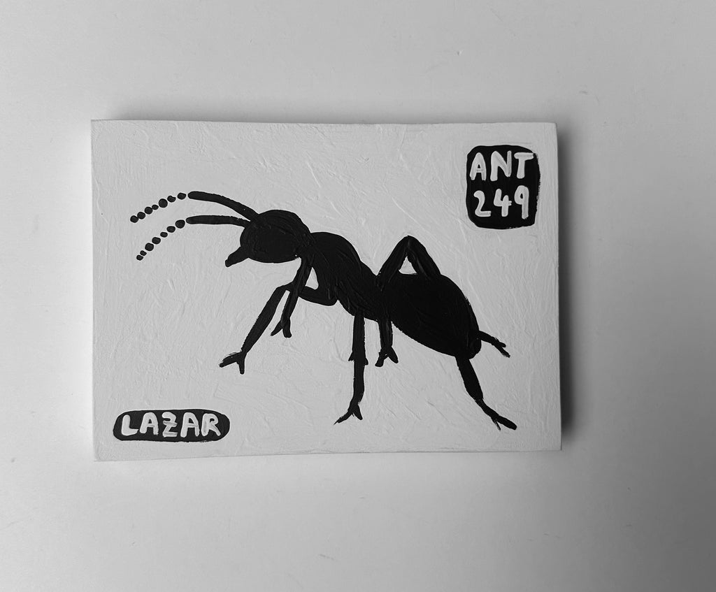 Ant #249