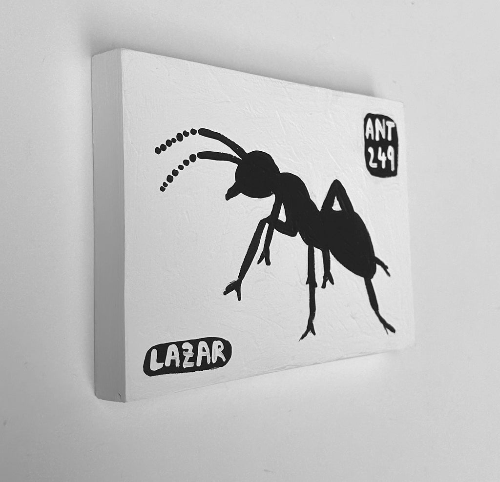 Ant #249