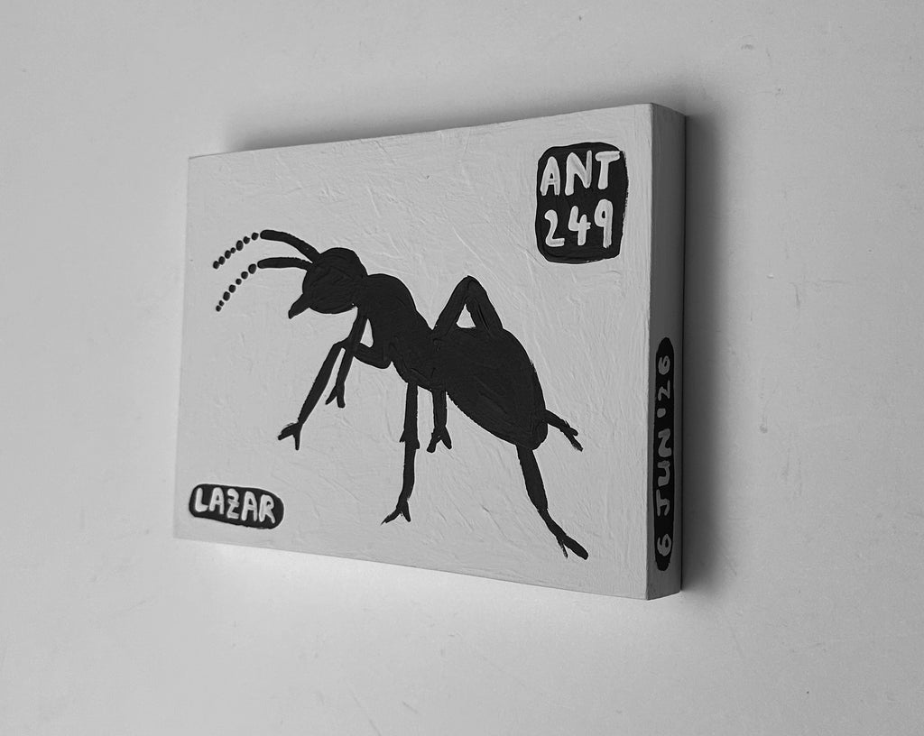 Ant #249