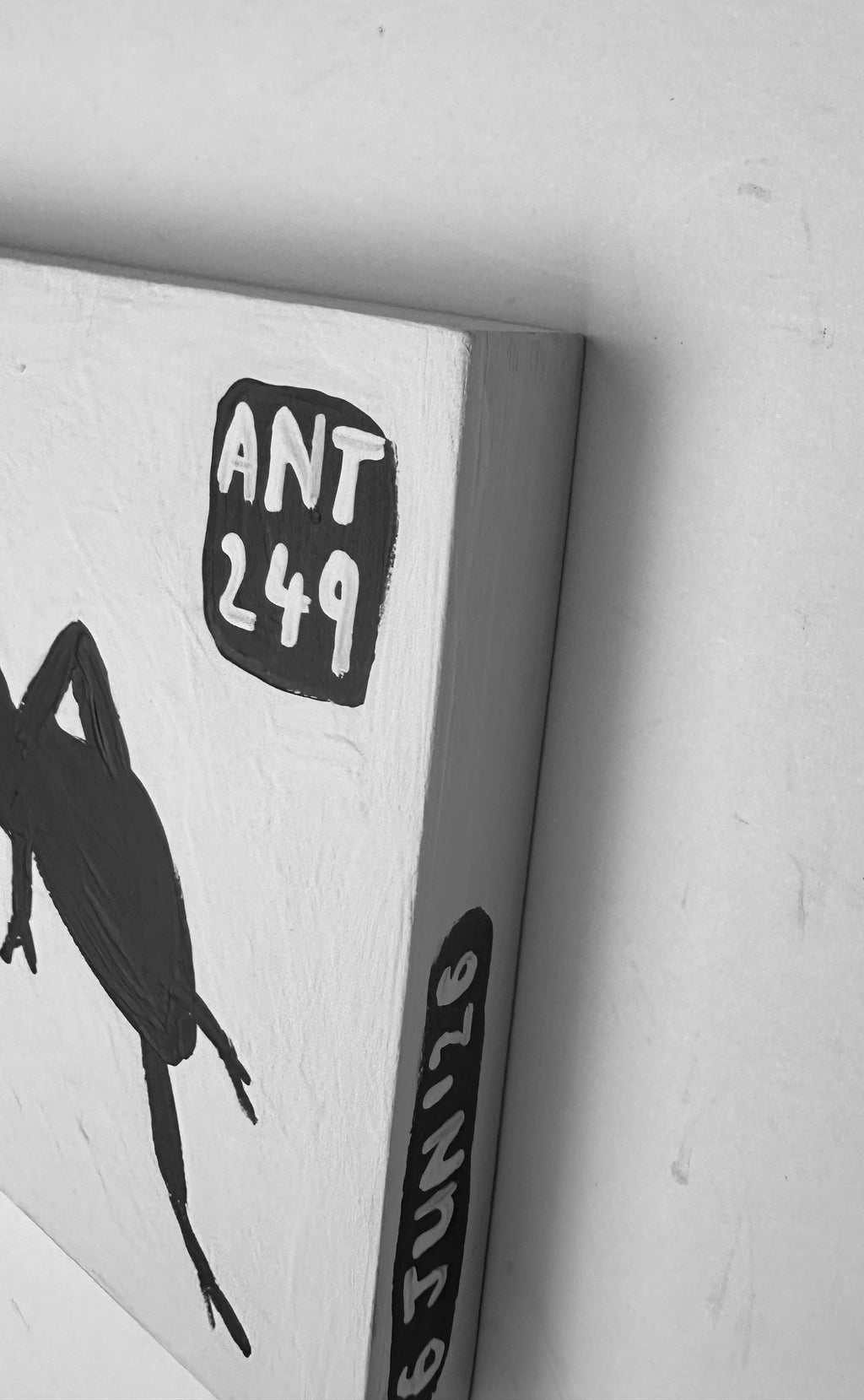 Ant #249