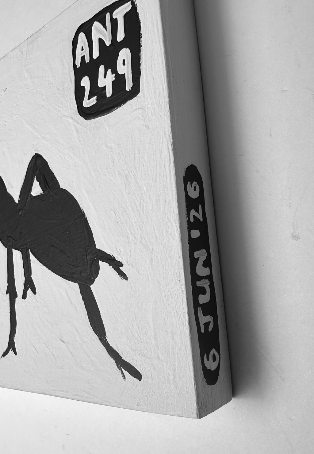 Ant #249