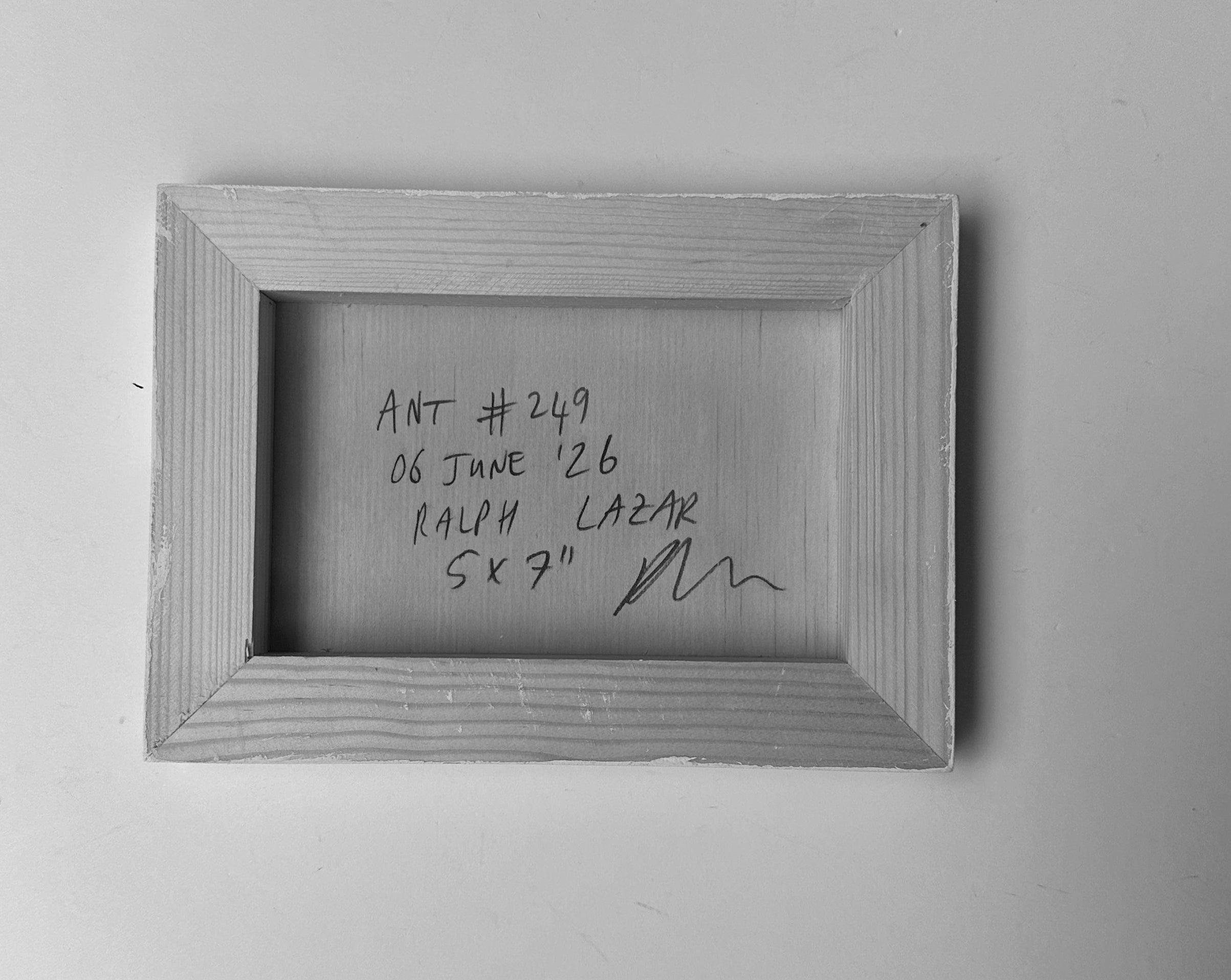 Ant #249