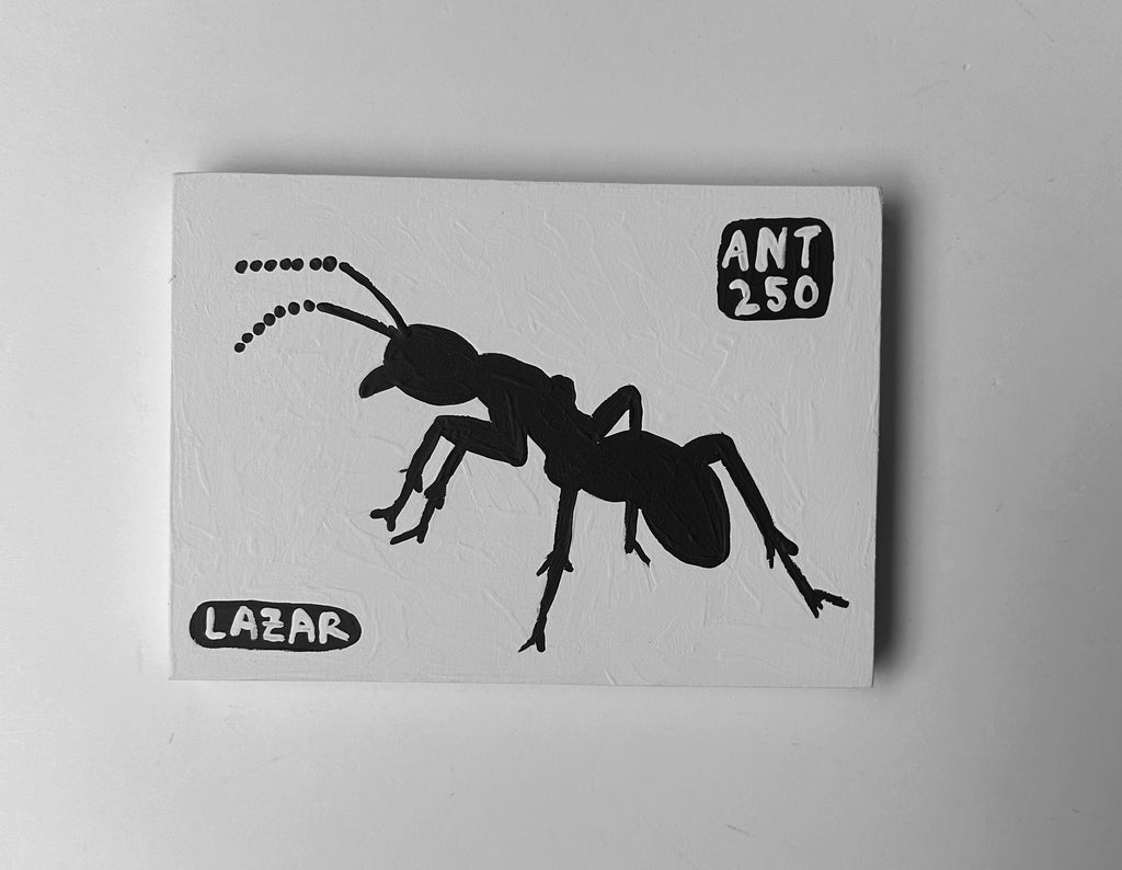 Ant #250
