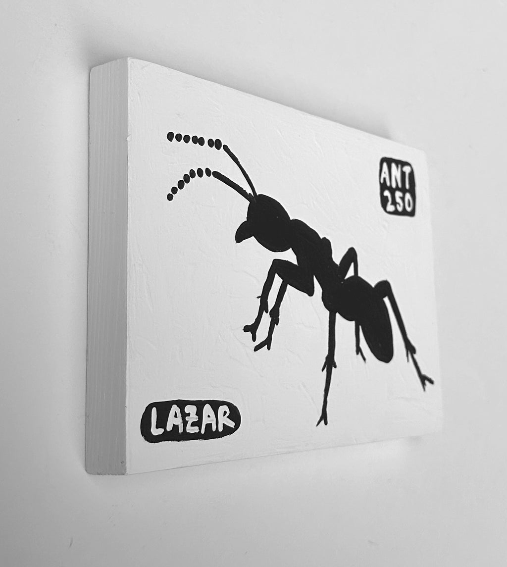 Ant #250