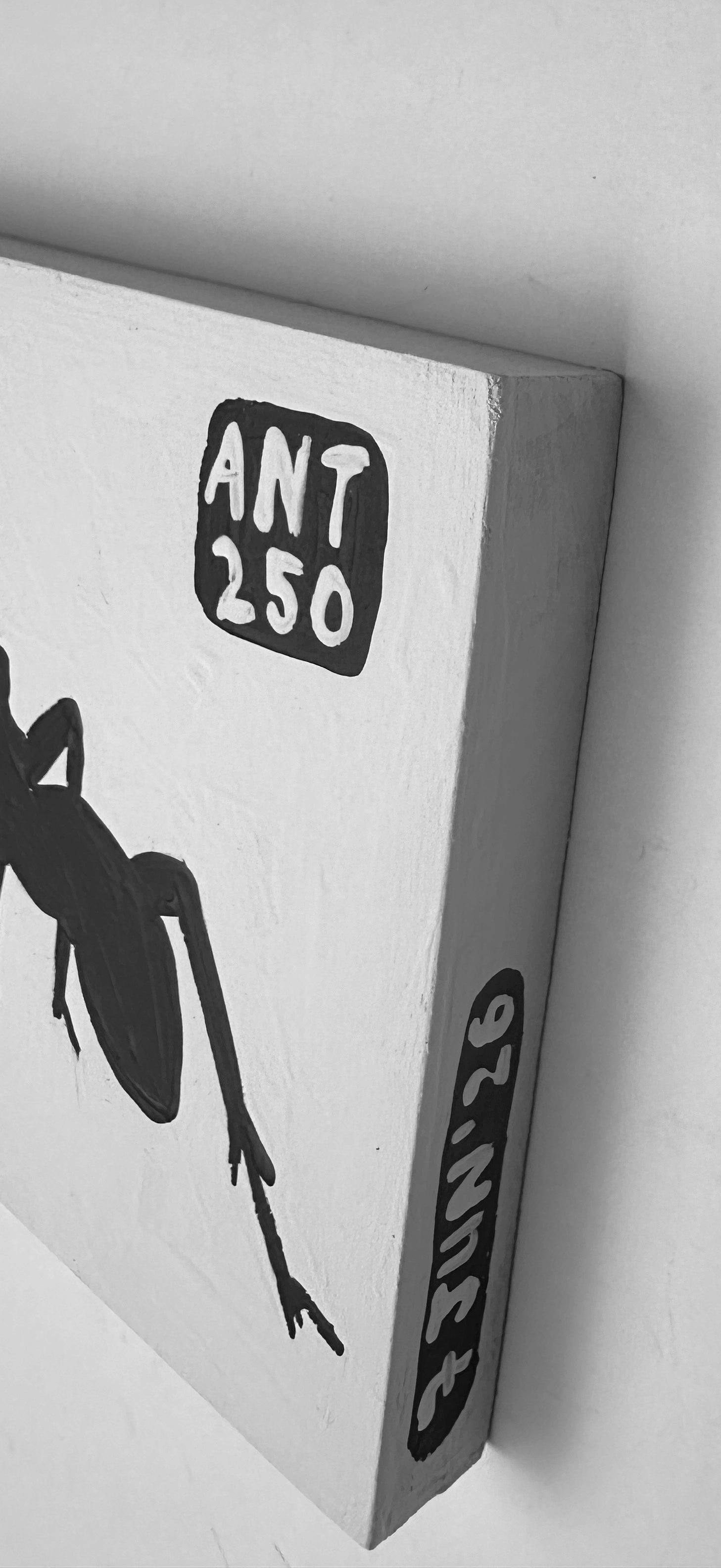 Ant #250
