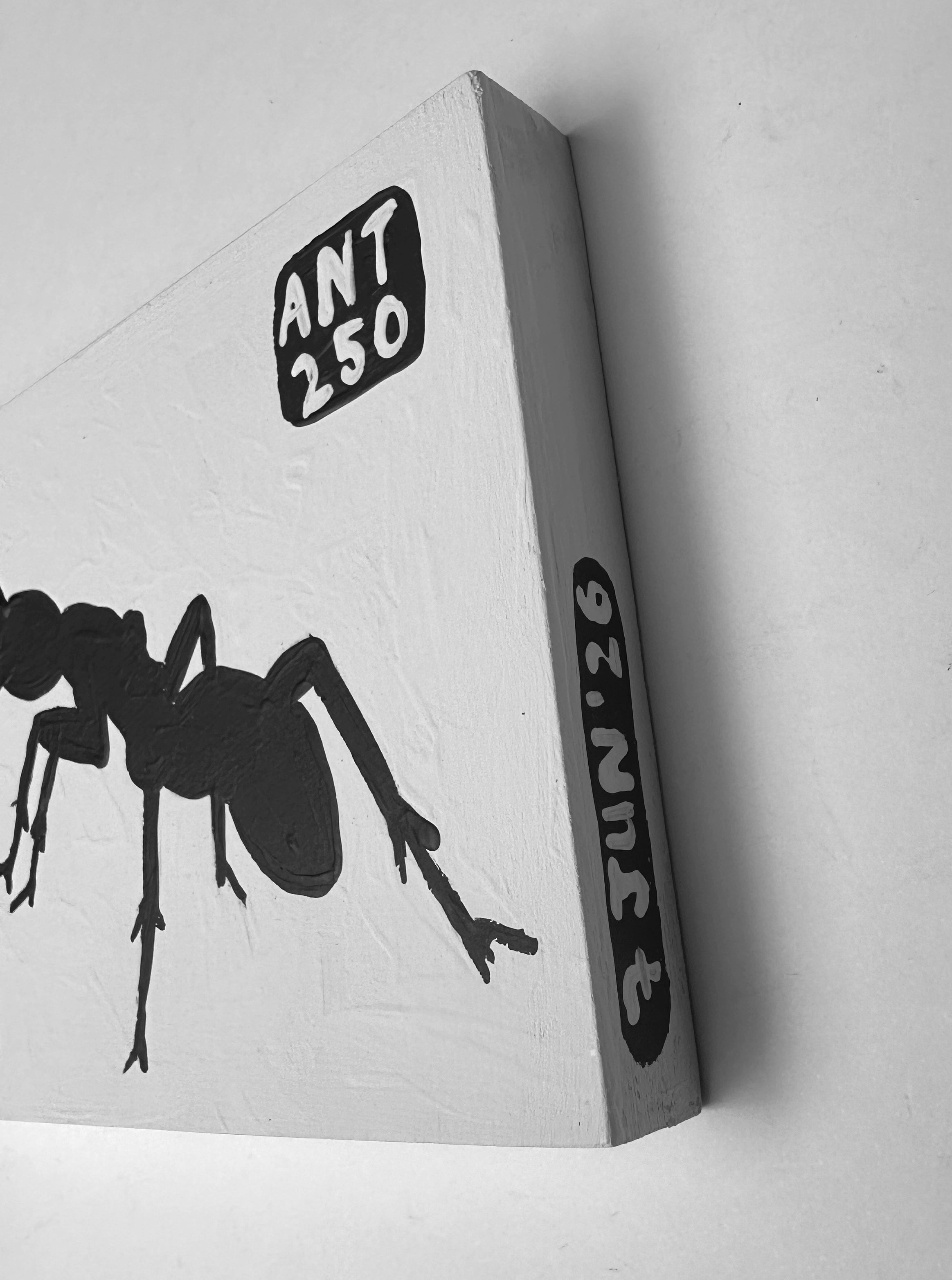 Ant #250