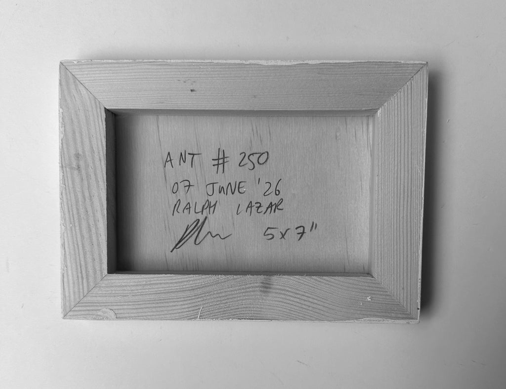 Ant #250