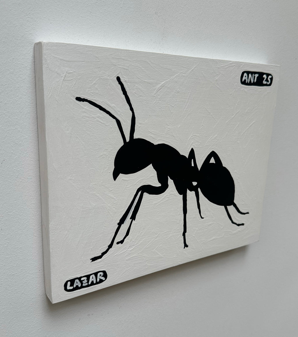 Ant #25