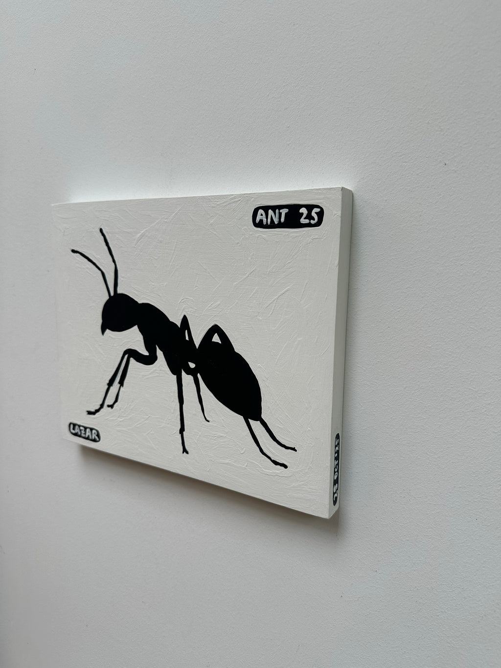 Ant #25