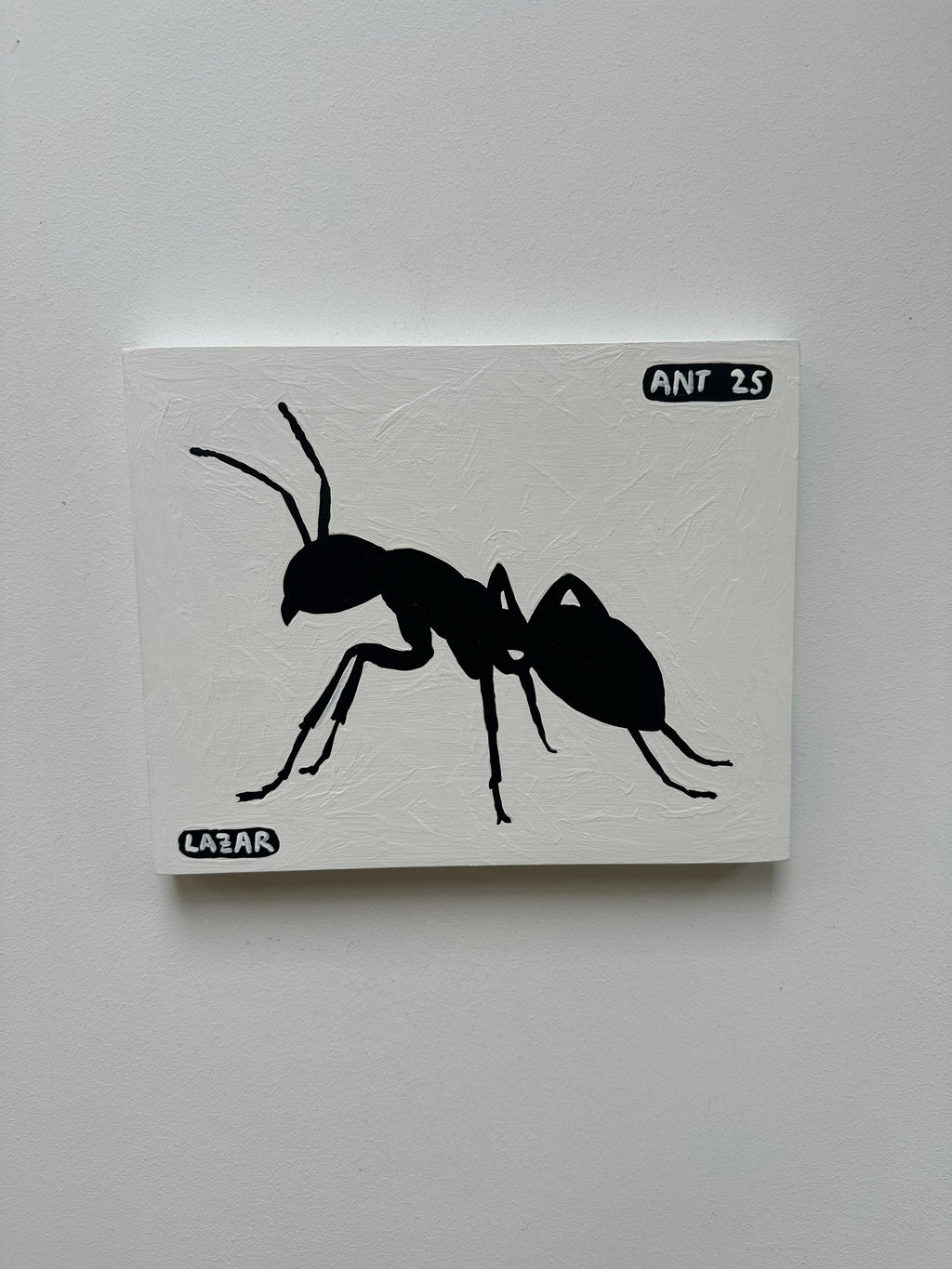 Ant #25