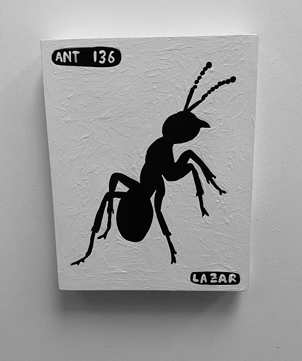 Ant #136